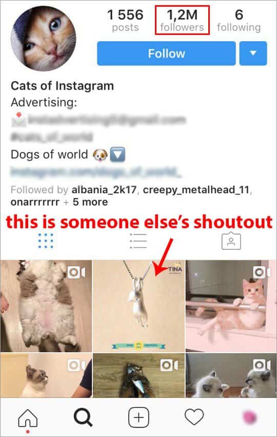Quality of the Instagram content