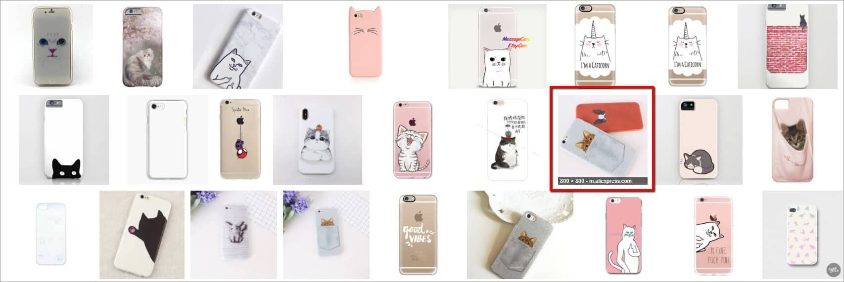 Detailed search results showing images of cat in a pocket iPhone cases 