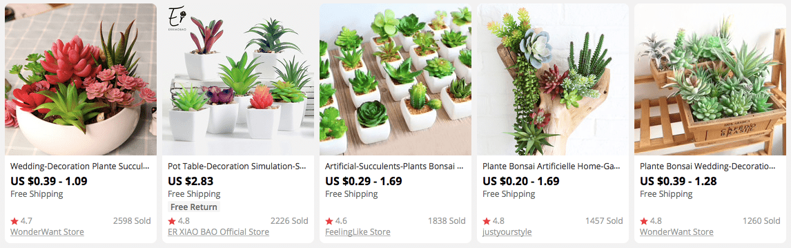 succulents.png