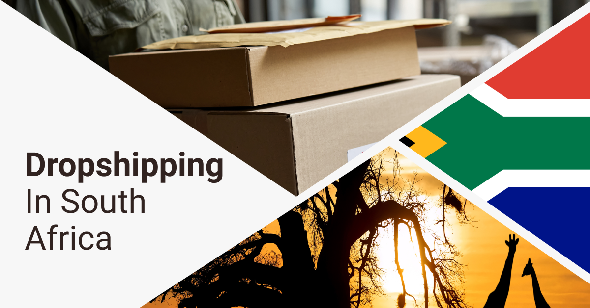 🇿🇦 Dropshipping In South Africa Pros, Cons, And RealLife Experience