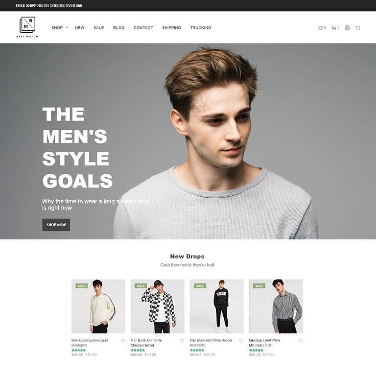 Dropshipping Themes For AliDropship-Based Stores