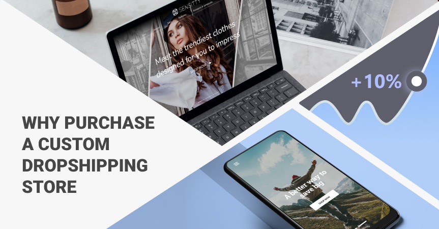 9 Principal Reasons To Buy A Custom Dropshipping Store