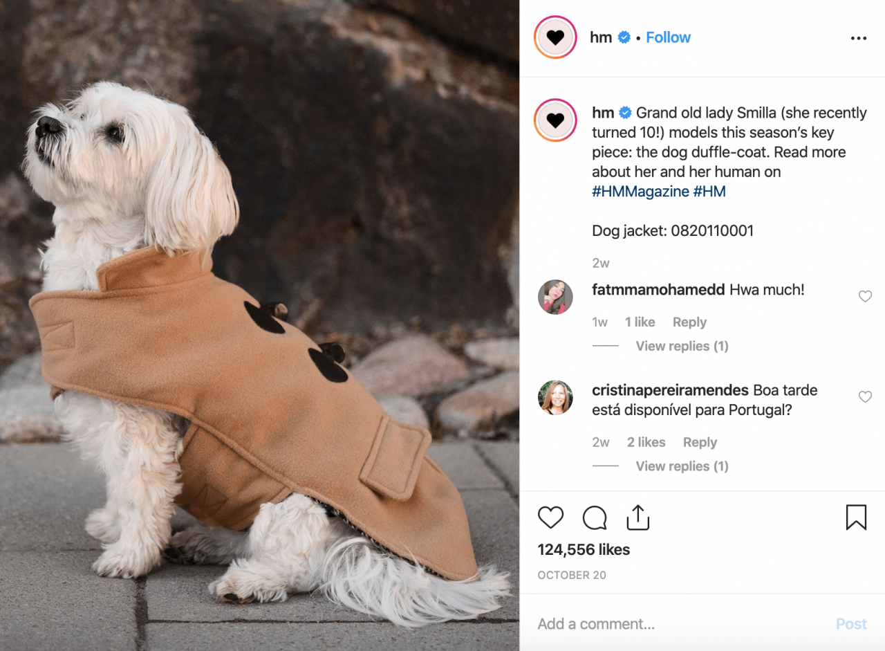 Instagram Hashtags For Likes ️⃣210 Best Business Hashtags