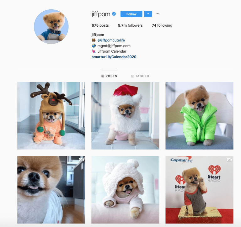 instagram-accounts-to-follow_jiffpom-768x724.png
