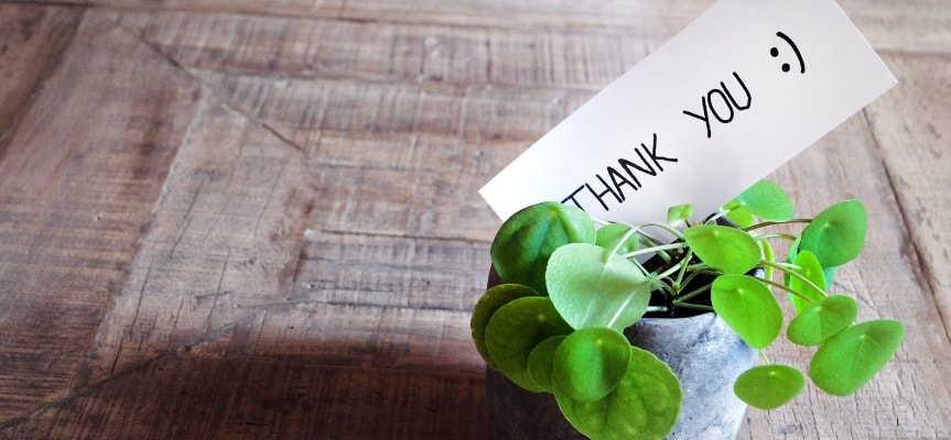Gratisography Advertsing Solutions, LLC