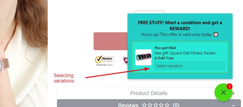 Accepting the free product offer in the Gift Box widget