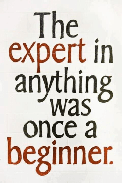 The expert in anything was once a beginner