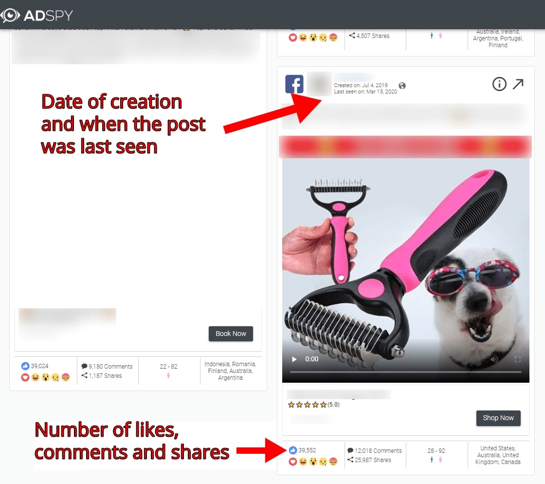 This is what you should pay attention to when looking for product ideas on AdSpy