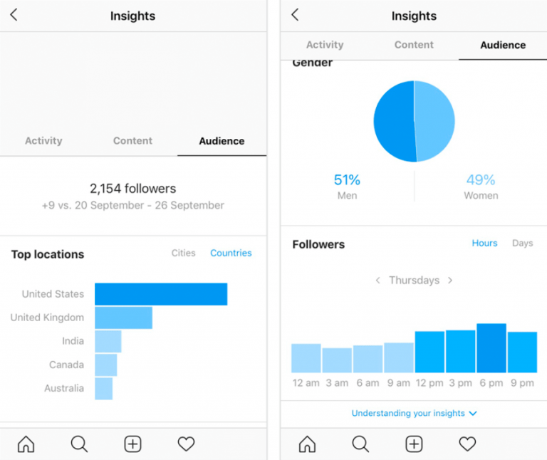 An example of Instagram audience insights