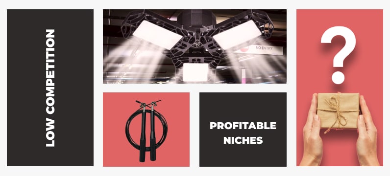 The 15 Most Profitable  Niches in 2024