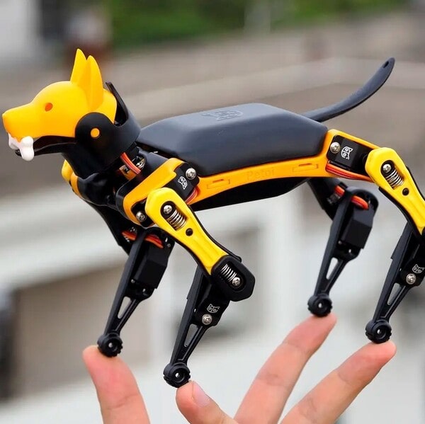photo robot dog