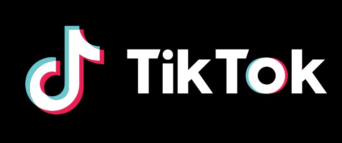 Picture of Tiktok banner