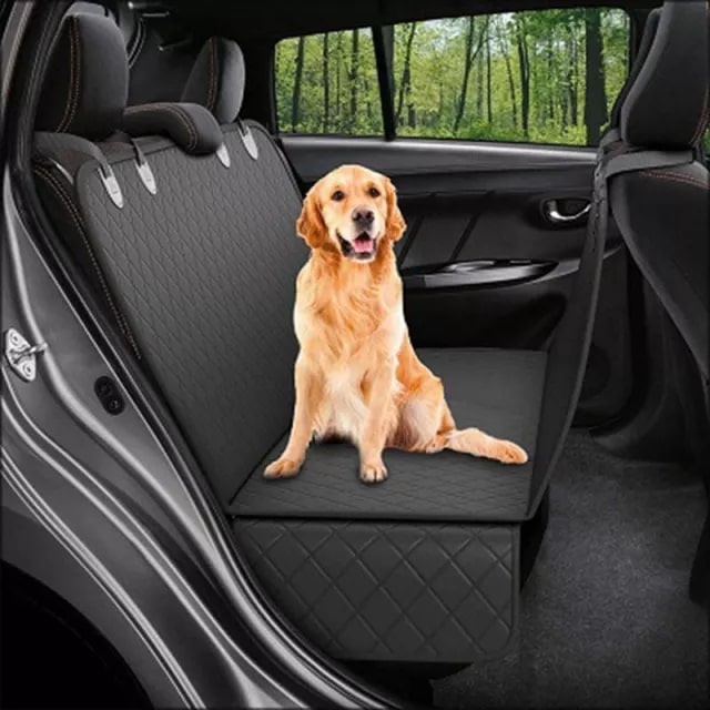photo dog seat cover