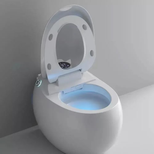 photo smart toilet