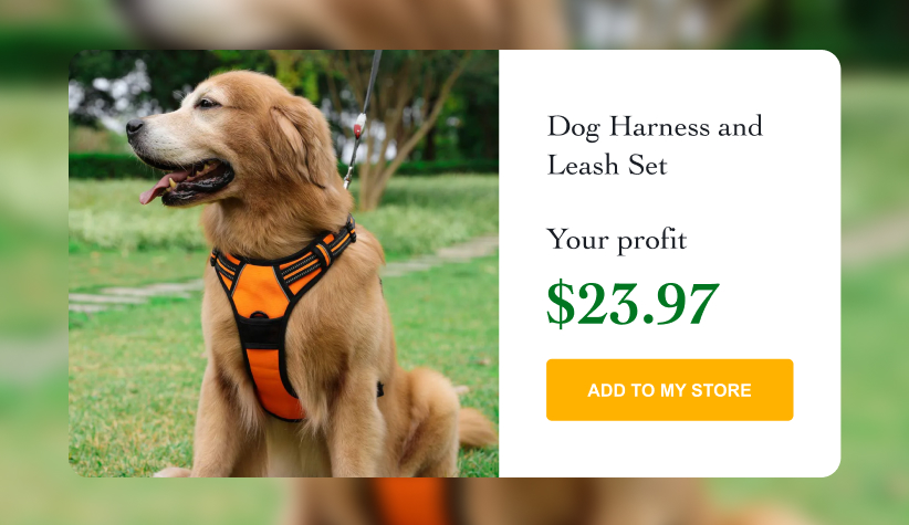 Dog Harness and Leash Set