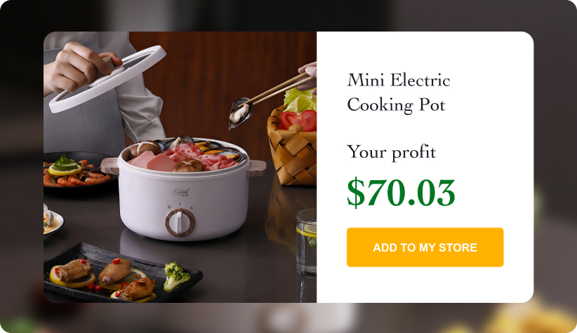 Mini Electric Cooking Pot