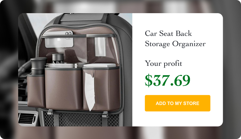 Car Seat Back Storage Organizer