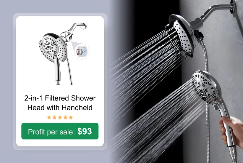 2-in-1 Filtered Shower as a trending product to sell