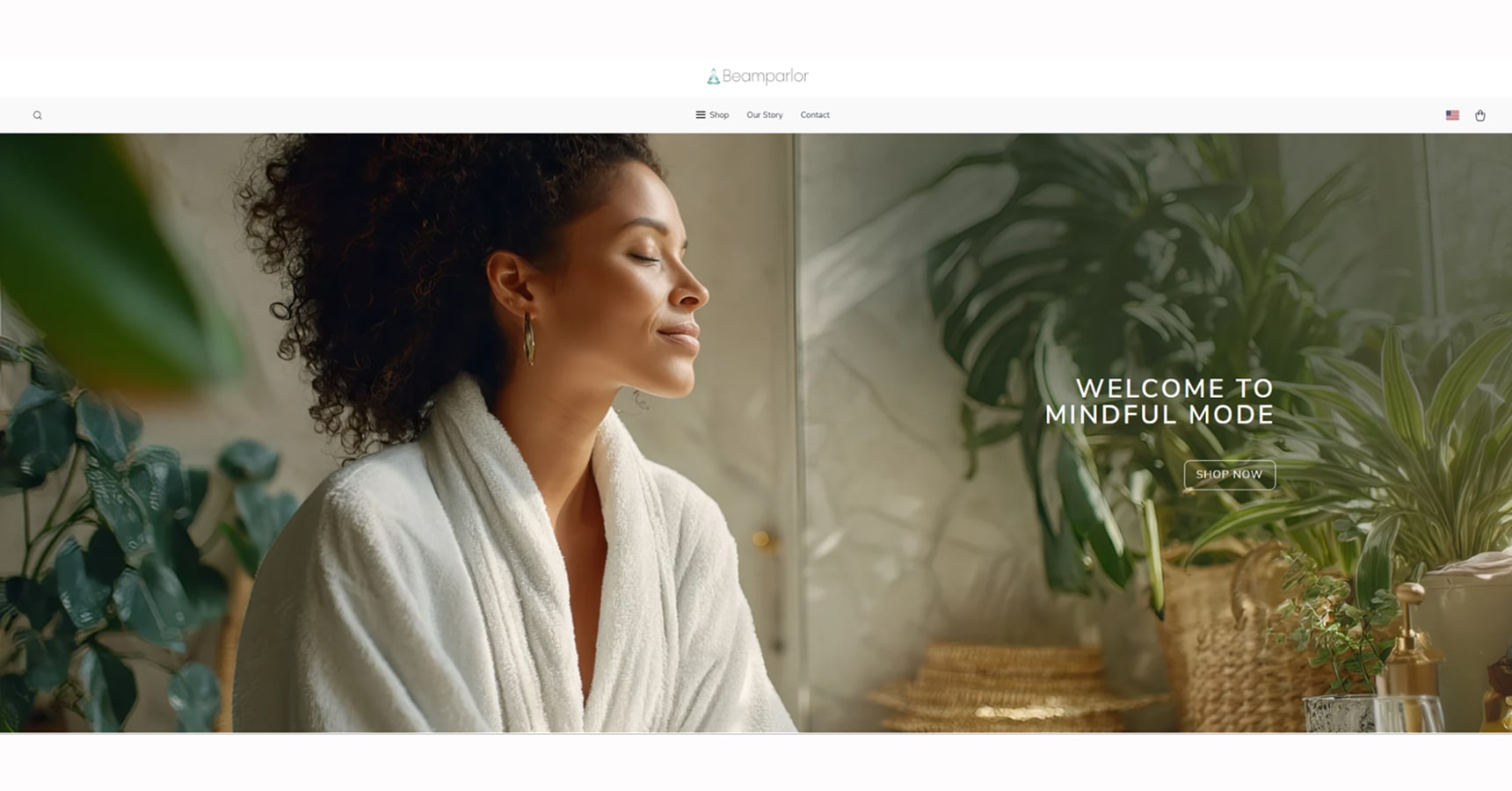 Online business idea: BeamParlor.store