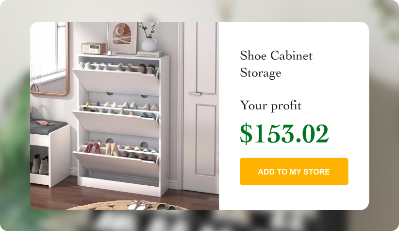 Shoe Cabinet Storage