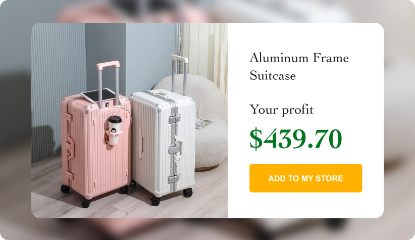 Aluminum Frame Suitcase