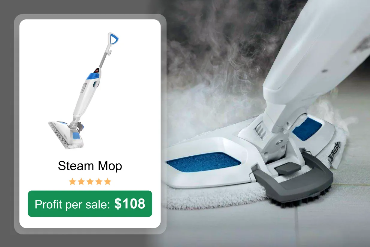 steam mop