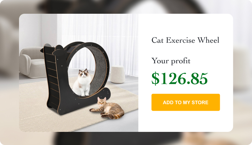 Cat Exercise Wheel