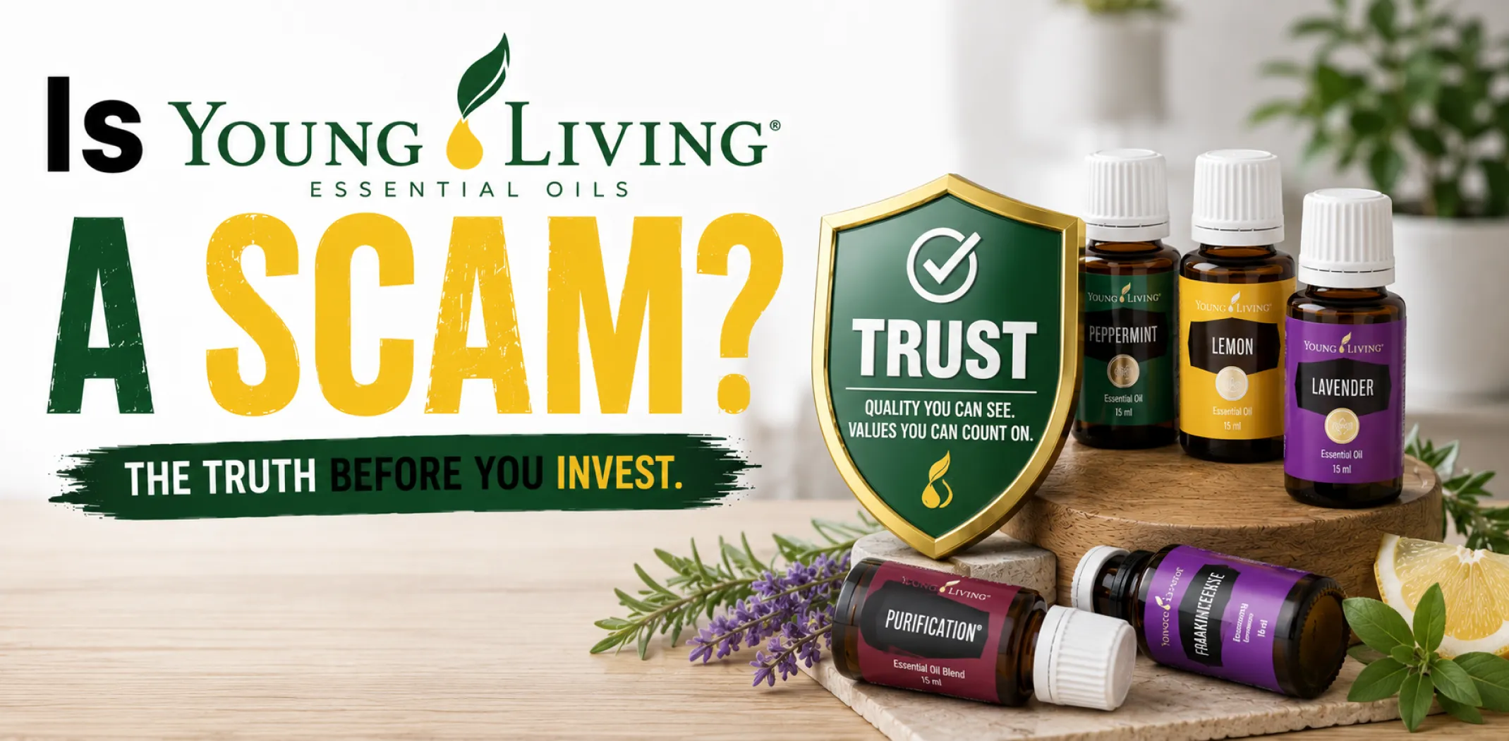 Featured image for an article answering the question "Is Young Living a scam?"