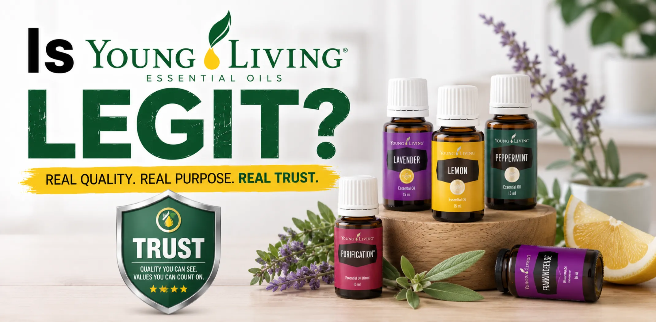 Featured image for an article answering the question "Is Young Living legit?"
