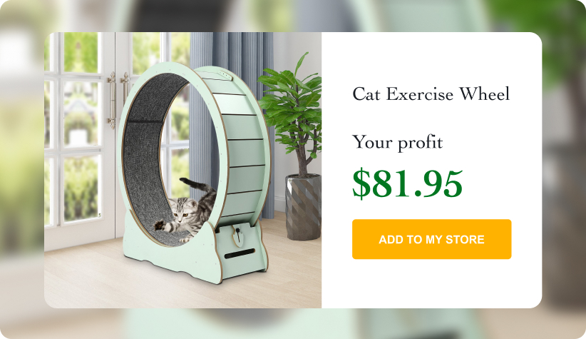 Cat Exercise Wheel